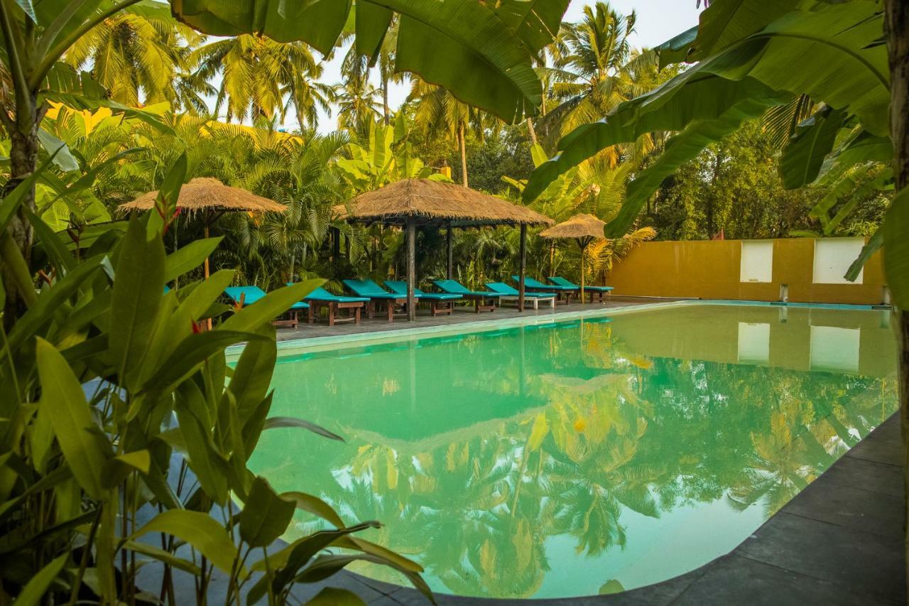 Devarya Wellness Beach Resort Morjim Dış mekan fotoğraf